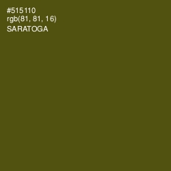 #515110 - Saratoga Color Image