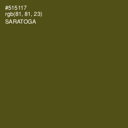 #515117 - Saratoga Color Image
