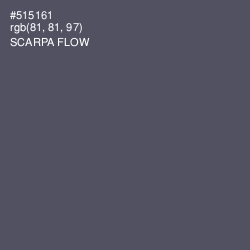 #515161 - Scarpa Flow Color Image