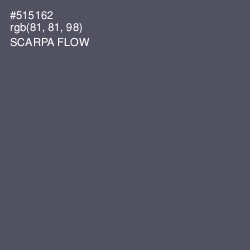 #515162 - Scarpa Flow Color Image