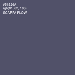 #51526A - Scarpa Flow Color Image
