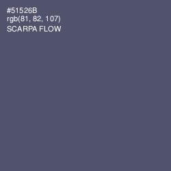 #51526B - Scarpa Flow Color Image