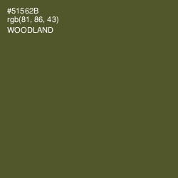 #51562B - Woodland Color Image