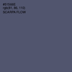 #51566E - Scarpa Flow Color Image