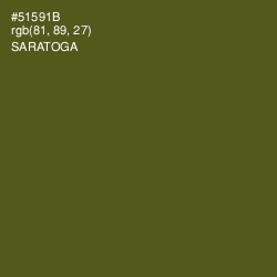 #51591B - Saratoga Color Image