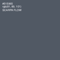 #515965 - Scarpa Flow Color Image