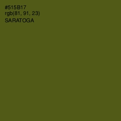 #515B17 - Saratoga Color Image