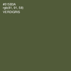 #515B3A - Verdigris Color Image