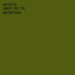 #515C10 - Saratoga Color Image