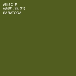 #515C1F - Saratoga Color Image