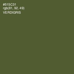 #515C31 - Verdigris Color Image