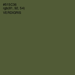 #515C36 - Verdigris Color Image