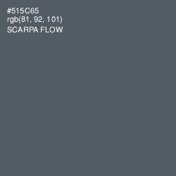 #515C65 - Scarpa Flow Color Image