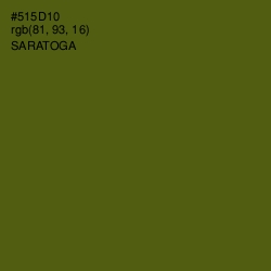 #515D10 - Saratoga Color Image