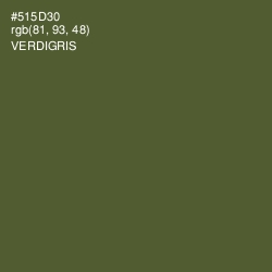 #515D30 - Verdigris Color Image