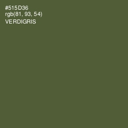 #515D36 - Verdigris Color Image