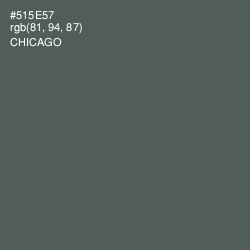 #515E57 - Chicago Color Image
