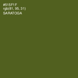 #515F1F - Saratoga Color Image