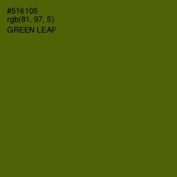 #516105 - Green Leaf Color Image