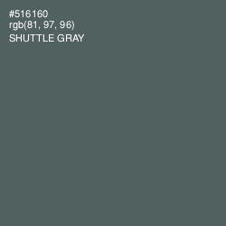 #516160 - Shuttle Gray Color Image