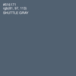 #516171 - Shuttle Gray Color Image