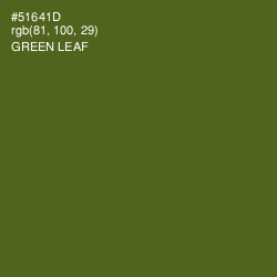 #51641D - Green Leaf Color Image