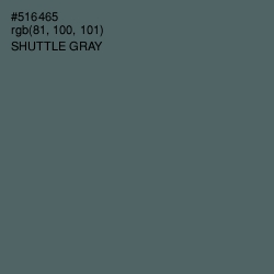 #516465 - Shuttle Gray Color Image