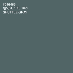 #516466 - Shuttle Gray Color Image