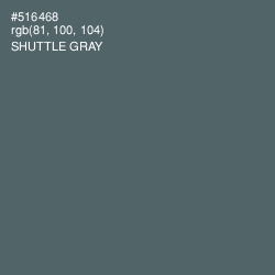 #516468 - Shuttle Gray Color Image