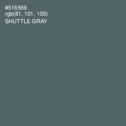 #516569 - Shuttle Gray Color Image