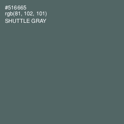 #516665 - Shuttle Gray Color Image