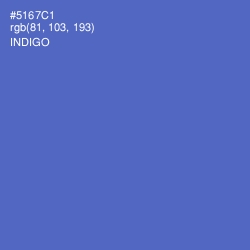 #5167C1 - Indigo Color Image