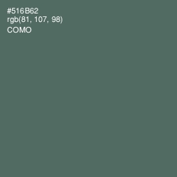 #516B62 - Como Color Image