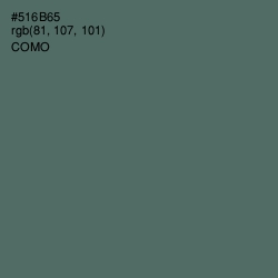 #516B65 - Como Color Image