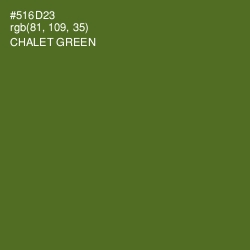 #516D23 - Chalet Green Color Image