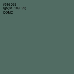 #516D63 - Como Color Image