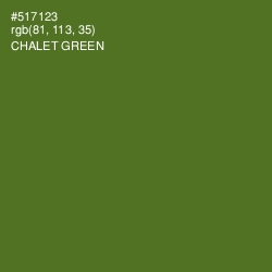 #517123 - Chalet Green Color Image