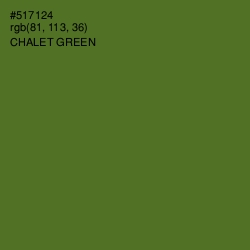 #517124 - Chalet Green Color Image