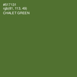#517131 - Chalet Green Color Image