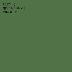 #517146 - Dingley Color Image