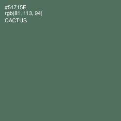 #51715E - Cactus Color Image