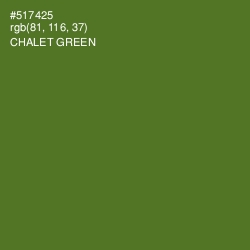 #517425 - Chalet Green Color Image