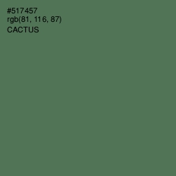 #517457 - Cactus Color Image