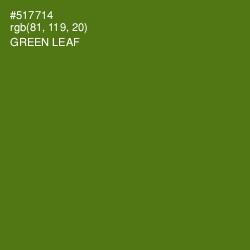 #517714 - Green Leaf Color Image