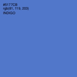 #5177CB - Indigo Color Image