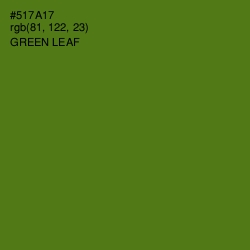 #517A17 - Green Leaf Color Image