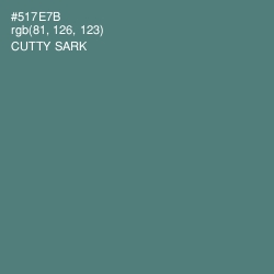 #517E7B - Cutty Sark Color Image