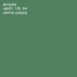 #51805E - Hippie Green Color Image