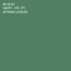 #518161 - Spring Leaves Color Image