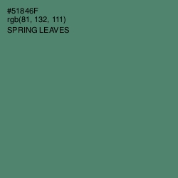 #51846F - Spring Leaves Color Image